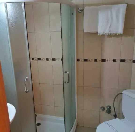 Fotos del hotel Sajam:  13