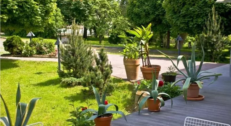 Fotos del hotel Kreischaer Hof:  2