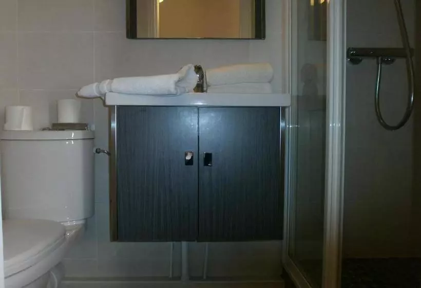 Fotos del hotel Anis:  11