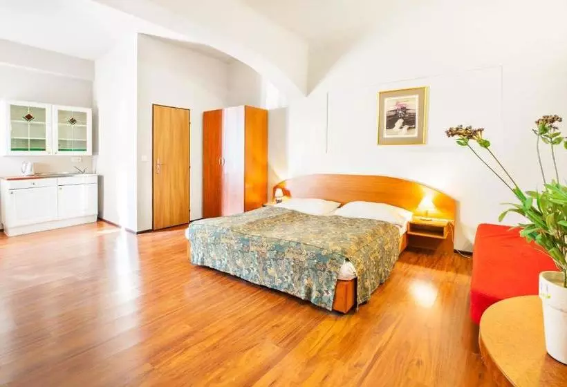 Fotos del hotel Apartment House Zizkov:  8