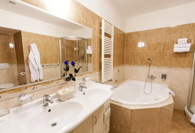 Fotos del hotel Hotel Modra Ruze:  10