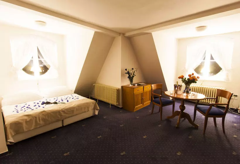 Fotos del hotel Hotel Modra Ruze:  7