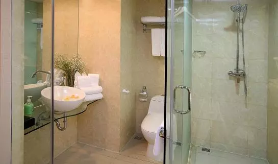 Fotos del hotel St. Rich:  6