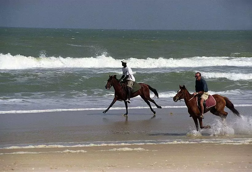 Fotos del hotel Mermoz:  8