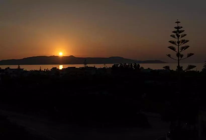 Fotos del hotel Mimoza:  11