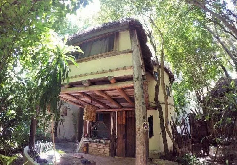 Fotos del hotel Shalala :  9