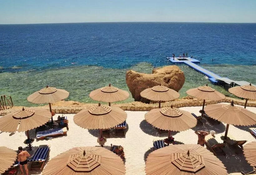 Fotos del hotel Dessole Nesco Waves Resort:  6