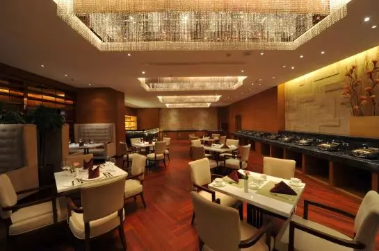 Fotos del hotel Geosciences International Conference Centre:  6