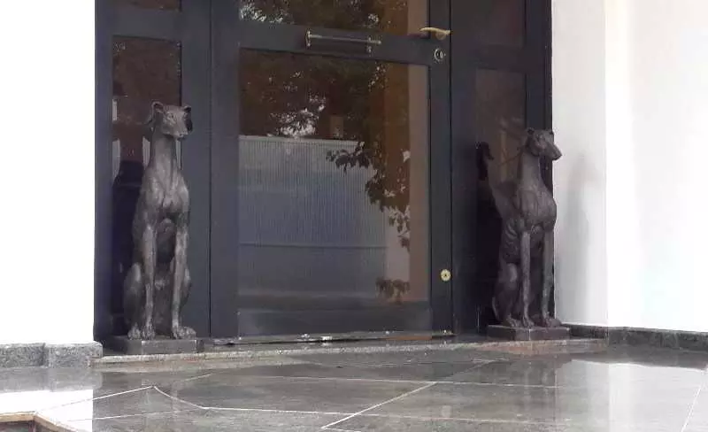 Fotos del hotel Gardenia Boshor Boutique Guest House:  8