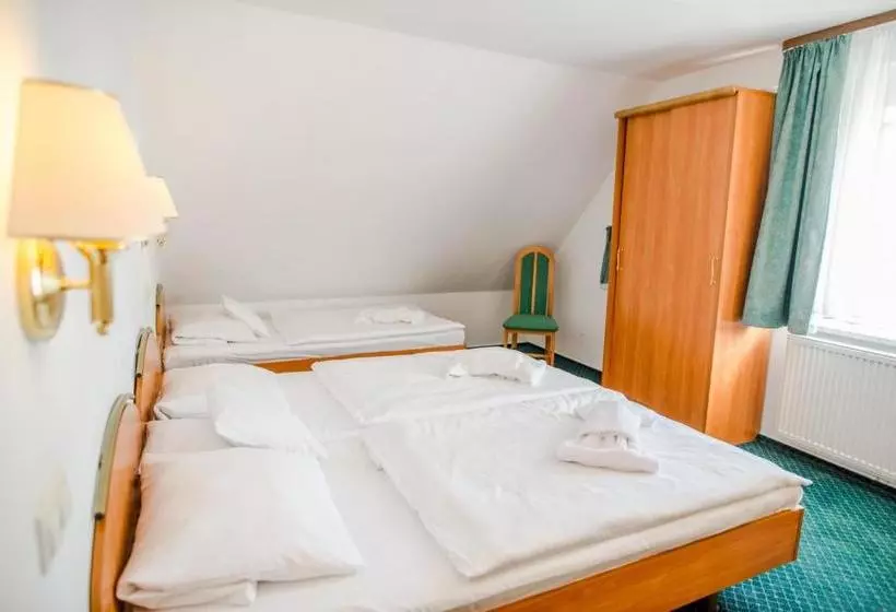 Fotos del hotel Spindlerova Bouda:  14