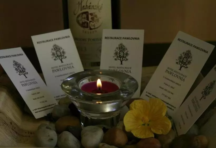 Fotos del hotel Pawlovnia:  12