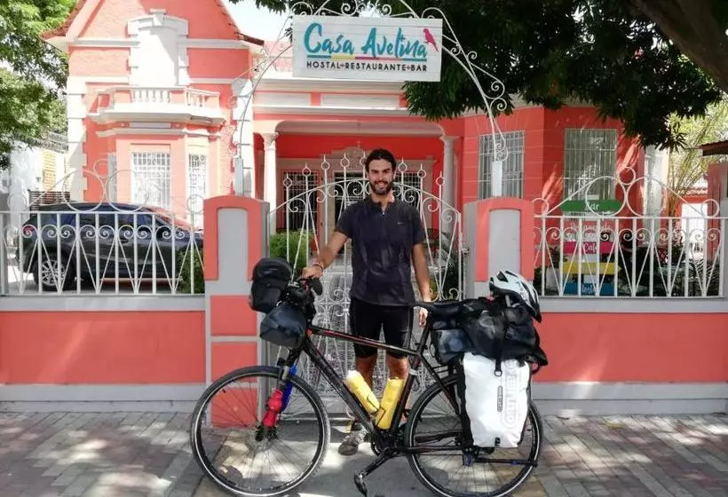 Fotos del hotel Casa Avelina Hostal:  8