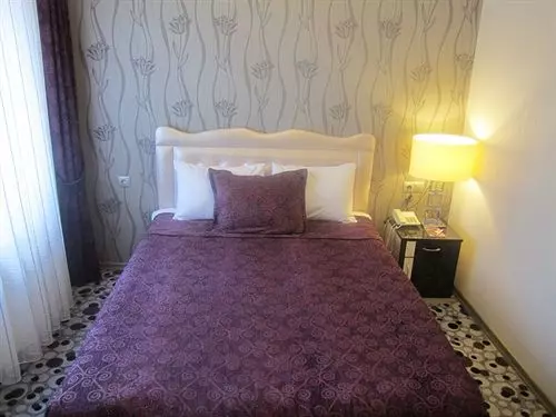 Fotos del hotel Ankara Risiss:  13