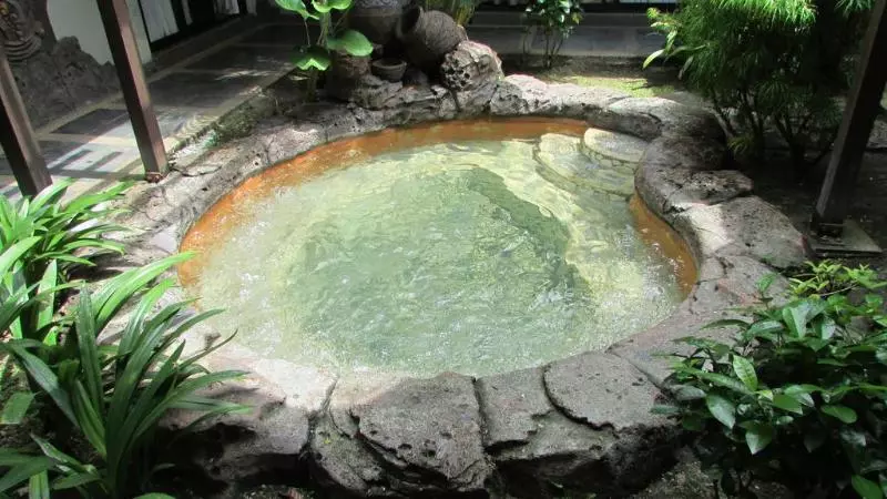 Fotos del hotel Felda Residence Hot Springs:  2