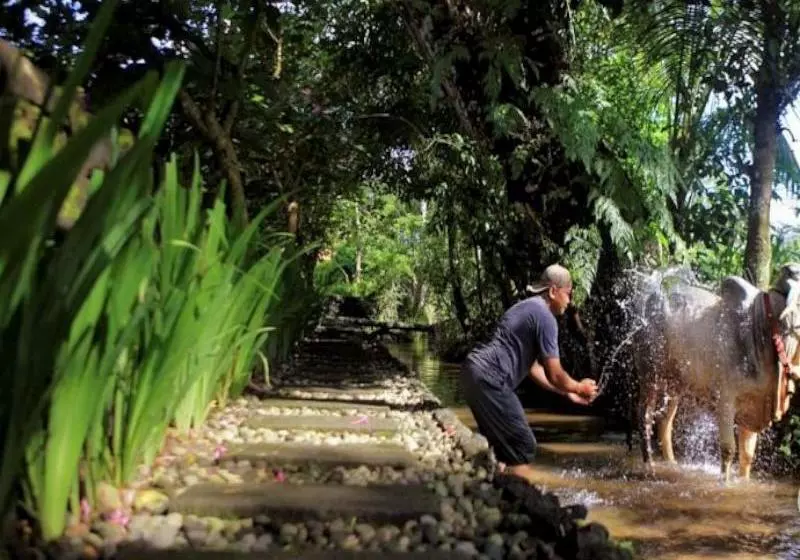 Fotos del hotel Khayangan Resort Villa:  9