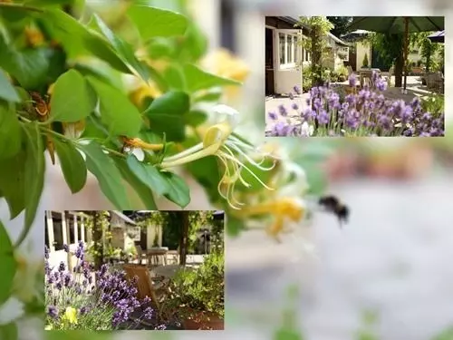 Fotos del hotel The Jolly Tar:  9