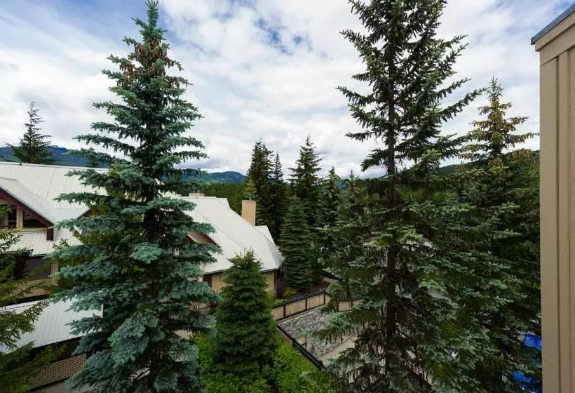 Fotos del hotel Snowberry:  8