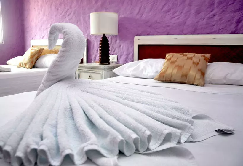 Fotos del hotel Cielito Holbox:  19