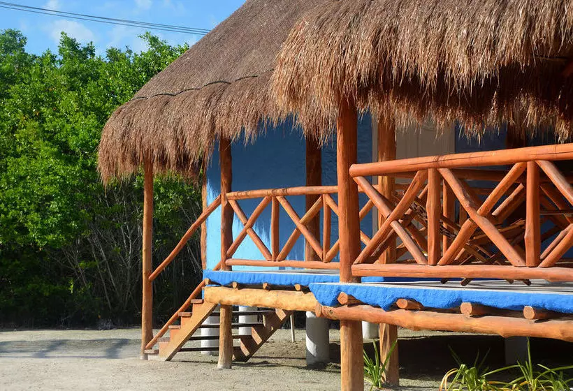 Fotos del hotel Cielito Holbox:  6