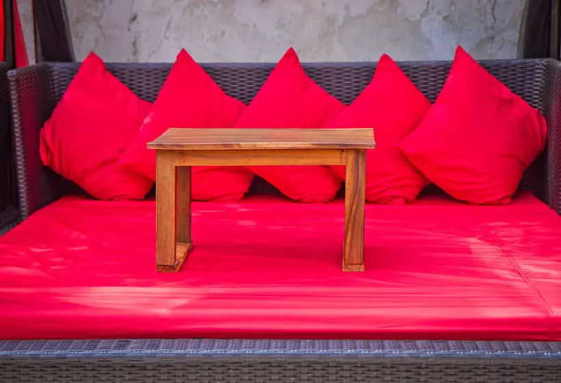 Fotos del hotel OC Hotel:  15