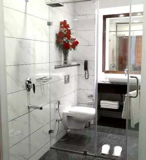 Fotos del hotel Sunbeam Premium:  5