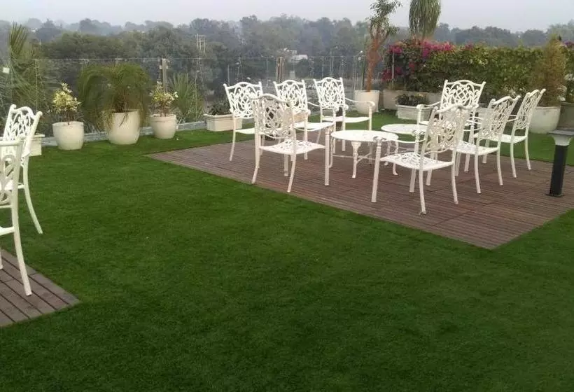 Fotos del hotel Sunbeam Premium:  9