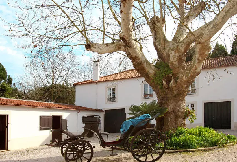 Fotos del hotel Solar Da Cerca Do Mosteiro:  22