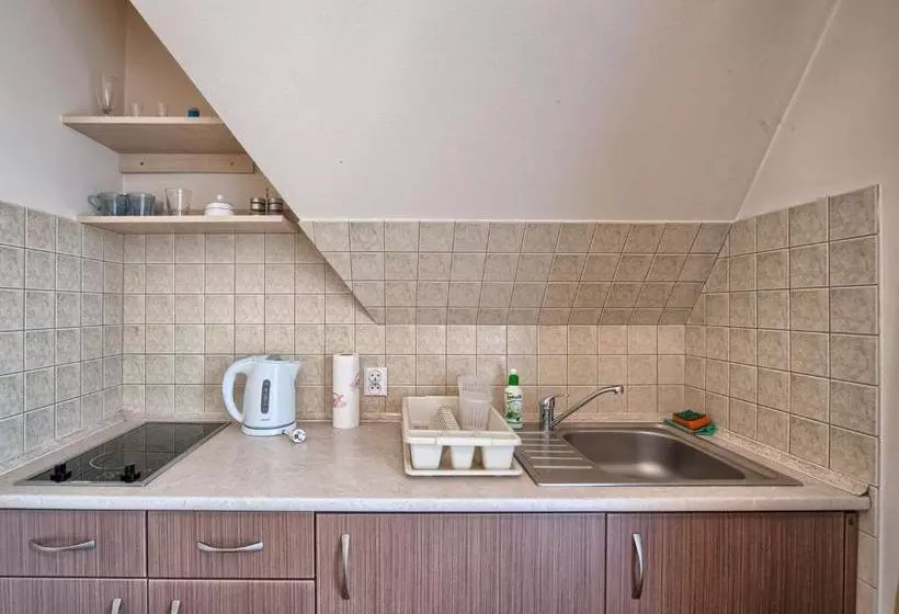 Fotos del hotel Visitzakopane City Apartments:  4