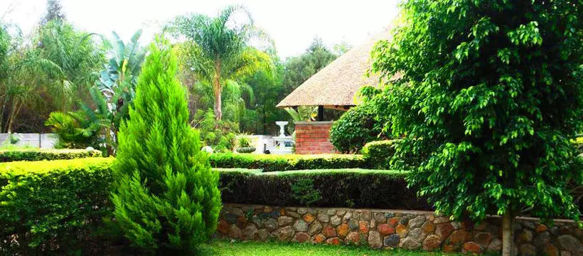 Fotos del hotel Wozani Lodge:  19