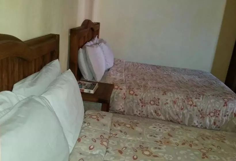 Fotos del hotel Meridano:  13