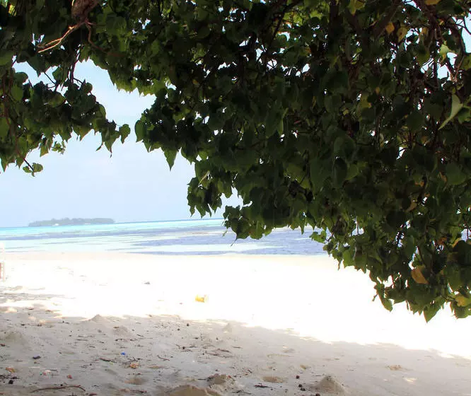 Fotos del hotel Rip Tide Beach:  19