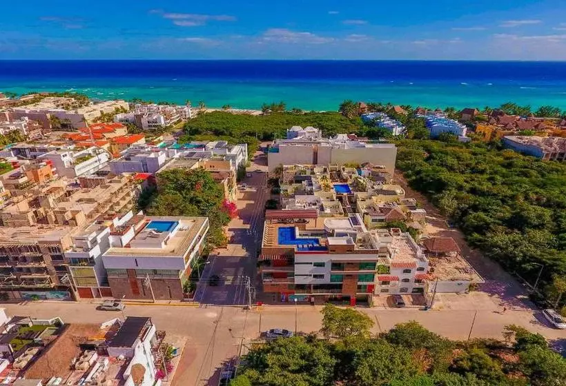 Fotos del hotel Klem Residence:  3