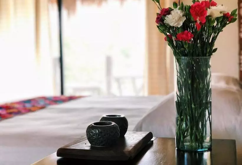 Fotos del hotel Jabin Tulum:  20