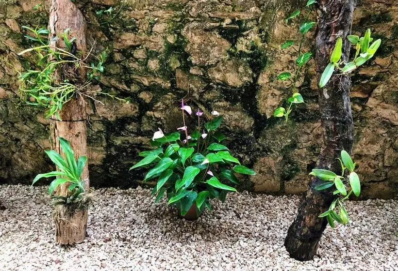 Fotos del hotel Jabin Tulum:  7
